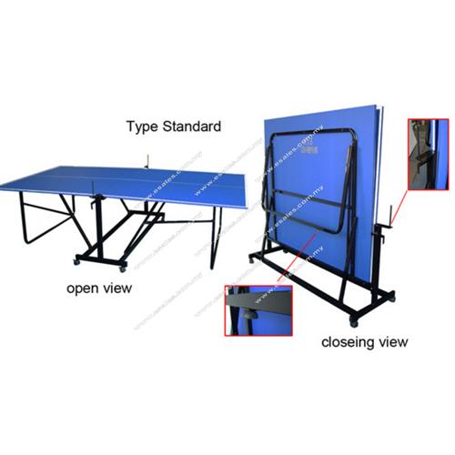 Tenis table type standard open