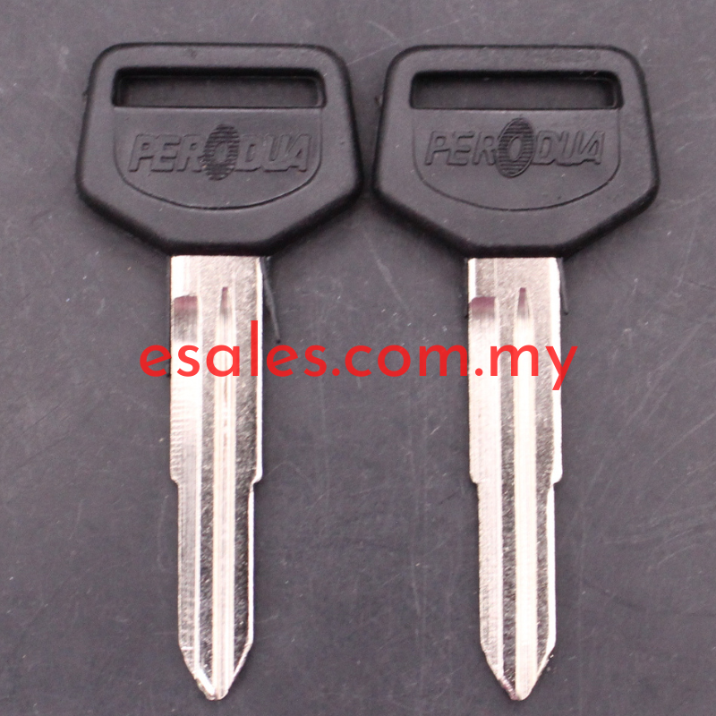 Perodua PK9P Car Key