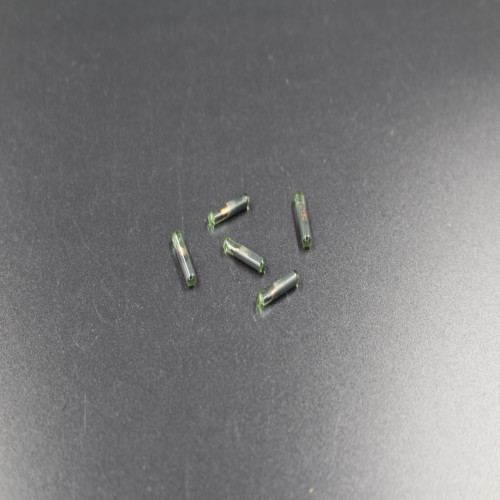 Proton 48 Immobilizer Transponder Glass Chip - Image 2