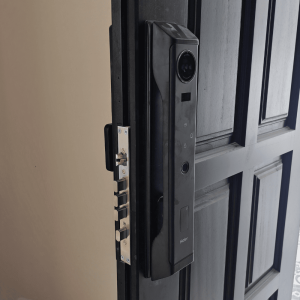 Haier HPW-MH500-U1 Smart Lock MH500